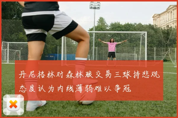 丹尼格林对森林狼交易三球持悲观态度认为内线薄弱难以争冠