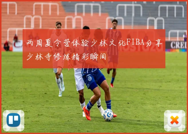 两周夏令营体验少林文化FIBA分享少林寺修炼精彩瞬间